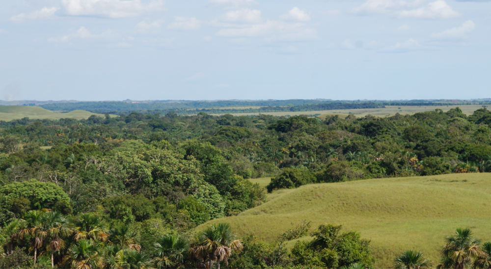 En Putumayo, URT entregó 98 predios a familias víctimas de las Farc y las AUC