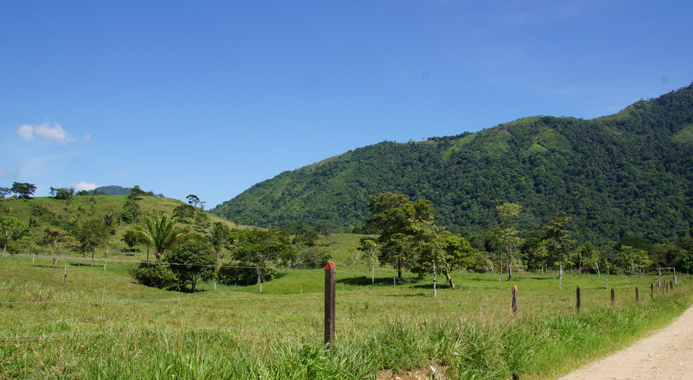 Otra familia caqueteña es restituida en San Vicente del Caguán
