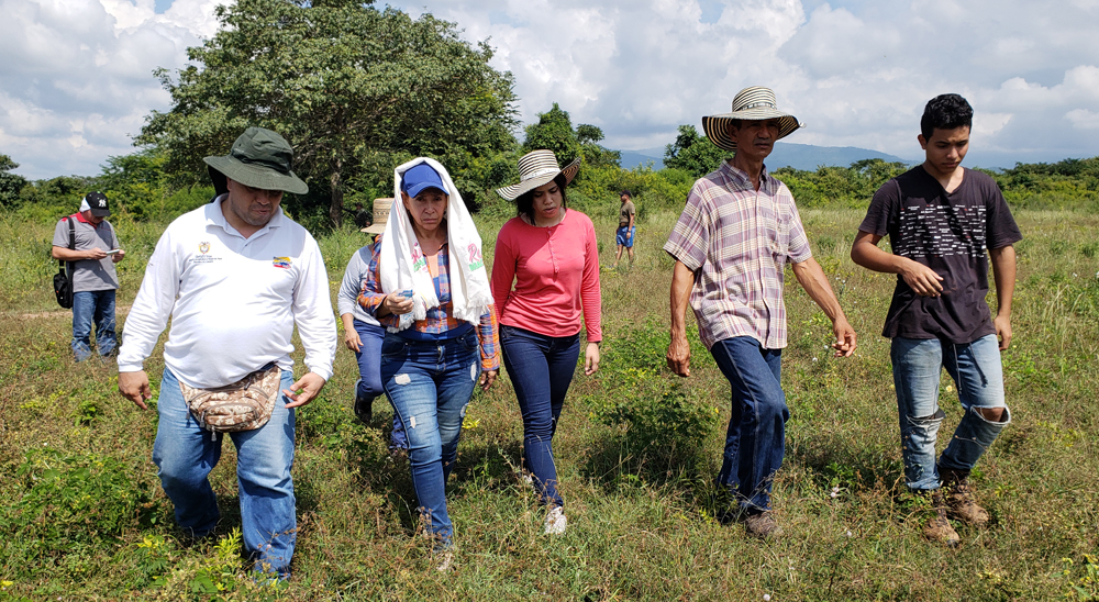 En Becerril, Cesar, mujer cabeza de hogar recuperó sus tierras