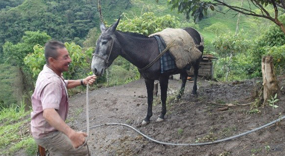 En 2018, la URT resolverá la totalidad de las solicitudes recibidas en Cundinamarca y Boyacá