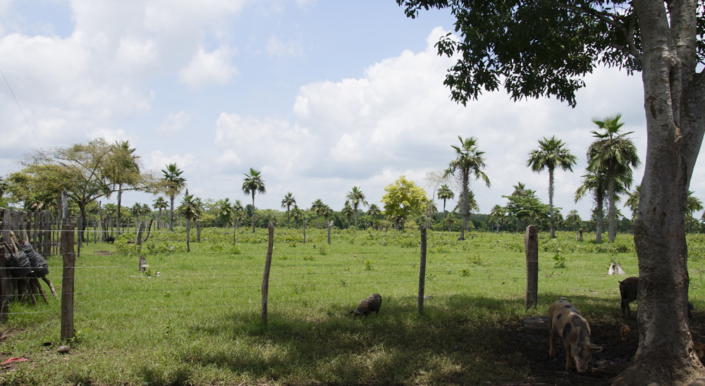 URT finalizará atención en algunas zonas de Sitionuevo, Puebloviejo, Aracataca y Remolino