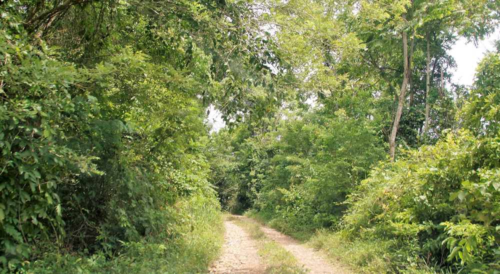 Familia de Rionegro, Santander, recuperó sus tierras