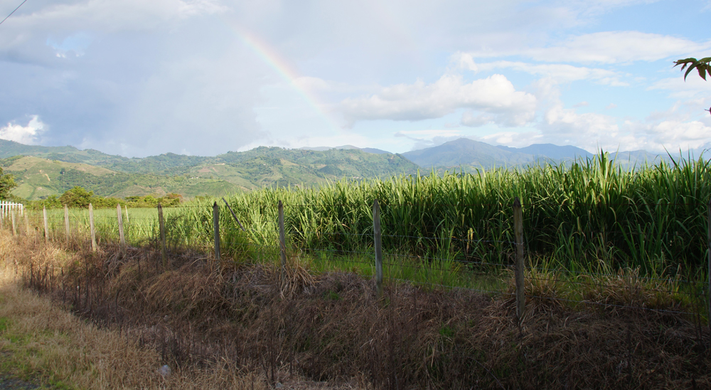 La Unidad de Restitución de Tierras anuncia barrido total de las solicitudes radicadas en el Valle del Cauca