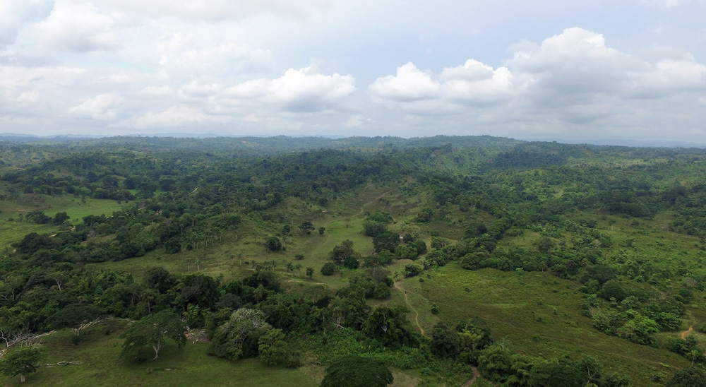 URT anuncia barrido total de solicitudes en municipios de Urabá