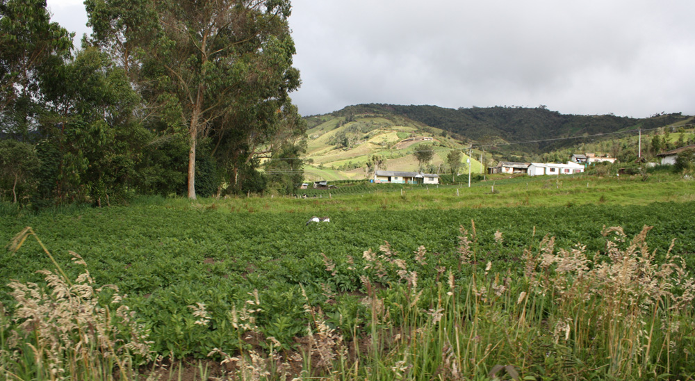En Nariño, la URT ha cumplido y presenta municipios libres de abandono y despojo
