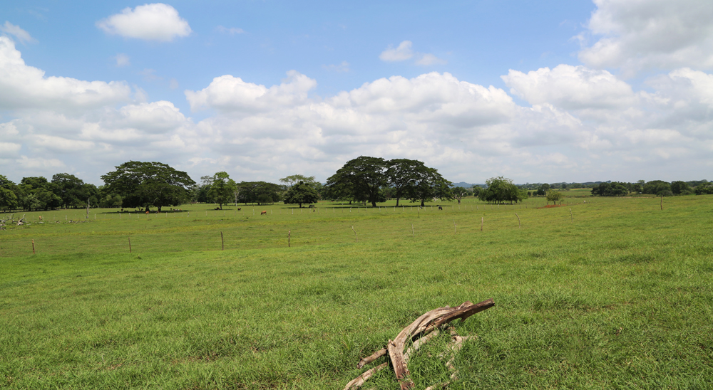 URT proyecta cierre de zonas en varias veredas de Barranca de Upía, Meta