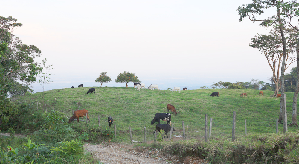 URT proyecta cierre de zonas en un sector de Meta