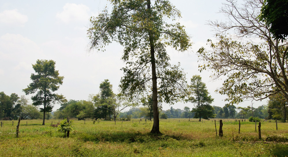 URT realizará cierre de varias zonas de trabajo en Magdalena Medio y Santander