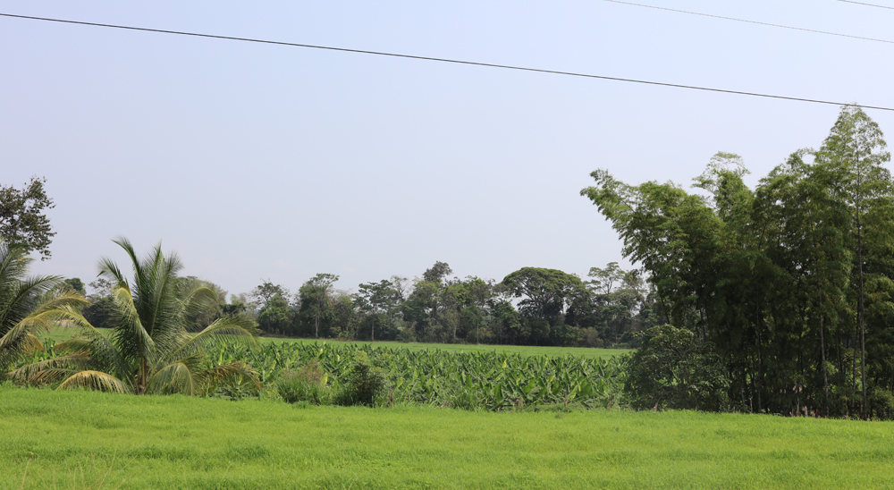 URT proyecta cierre de zonas en varias veredas de Guamal, Meta