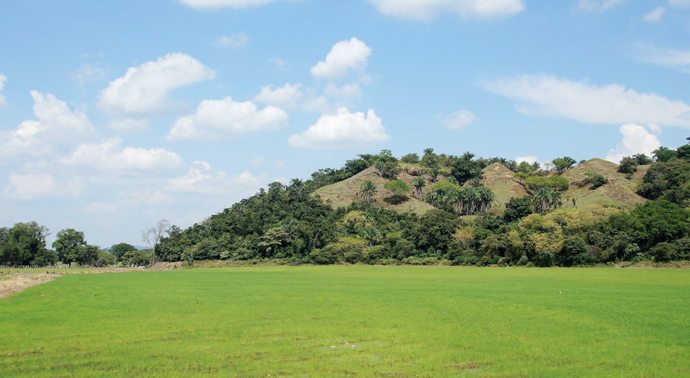 En Tolima, la URT presentó demanda étnica para beneficiar a 258 personas del pueblo Pijao