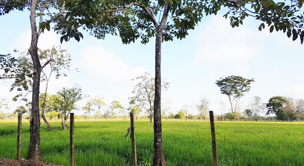 En mayo, familias restituidas de Tillavá estrenarán sus casas nuevas