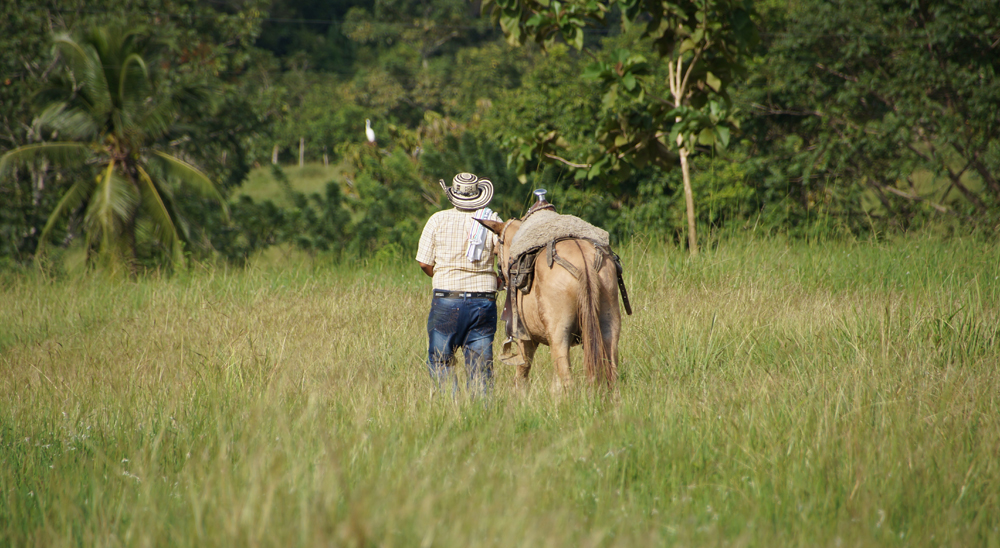 URT proyecta cierre de zonas en varias veredas de Puerto Gaitán, Meta