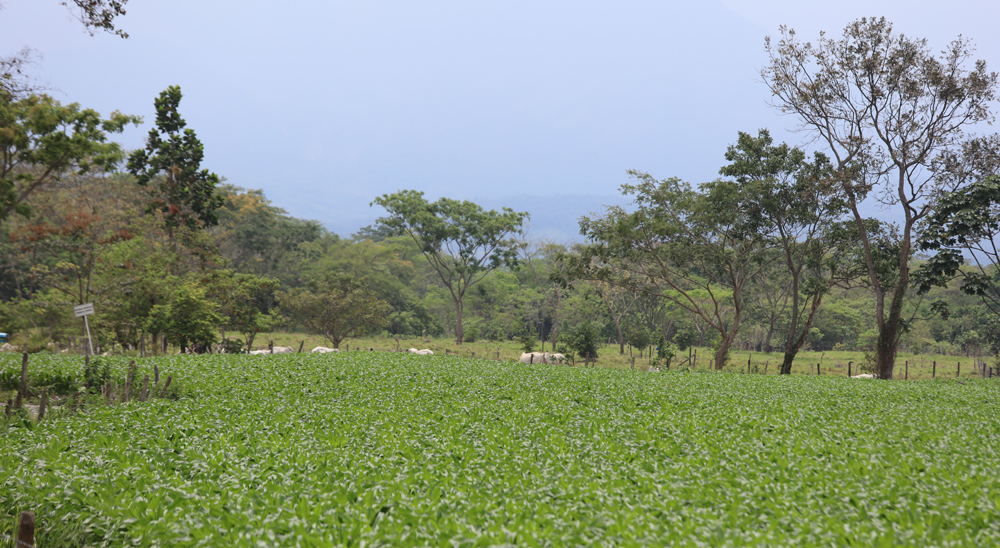 URT proyecta cierre de zonas en varias veredas de Fuente de Oro, Meta