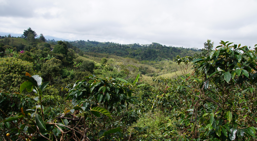 URT Meta realiza barrido total de solicitudes en zonas de Meta, Casanare y Cundinamarca
