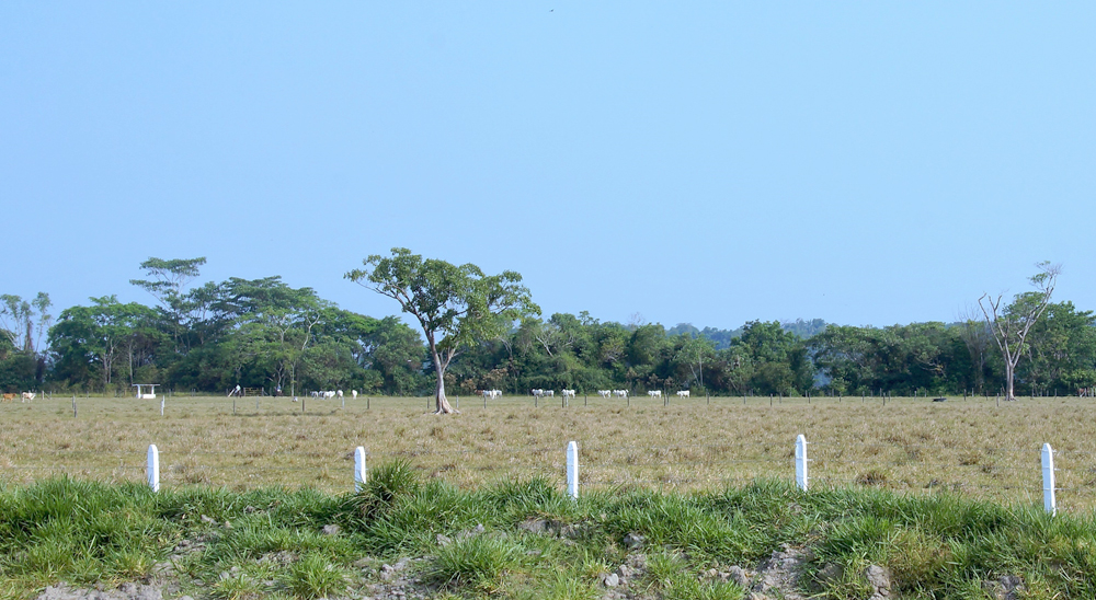 Más familias víctimas del paramilitar alias Camilo Morantes regresarán a sus tierras, en Sabana de Torres