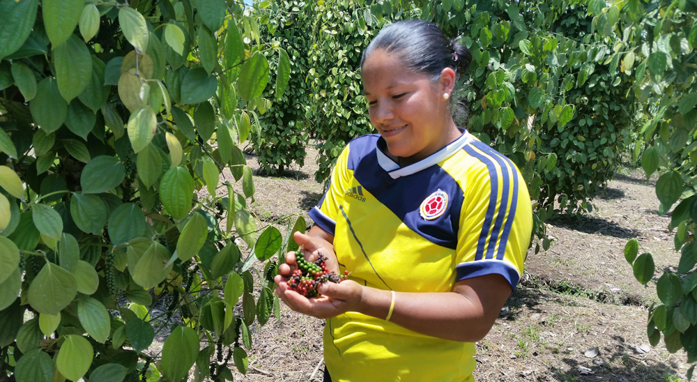 En Putumayo, la URT ha resuelto el 90% de las solicitudes relacionadas con tierras de 6 municipios