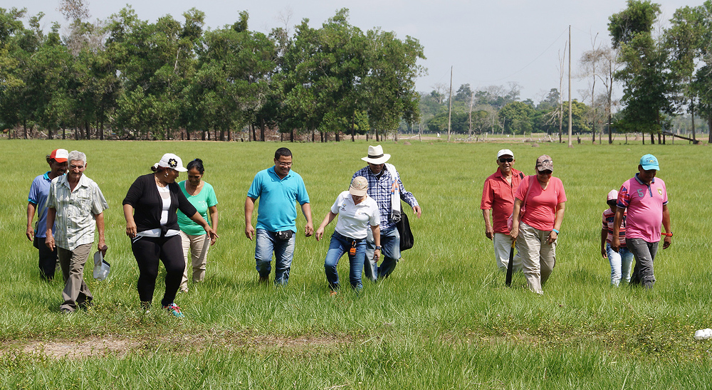 Unidad de Restitución de Tierras solicita vinculación de personas a proceso de restitución