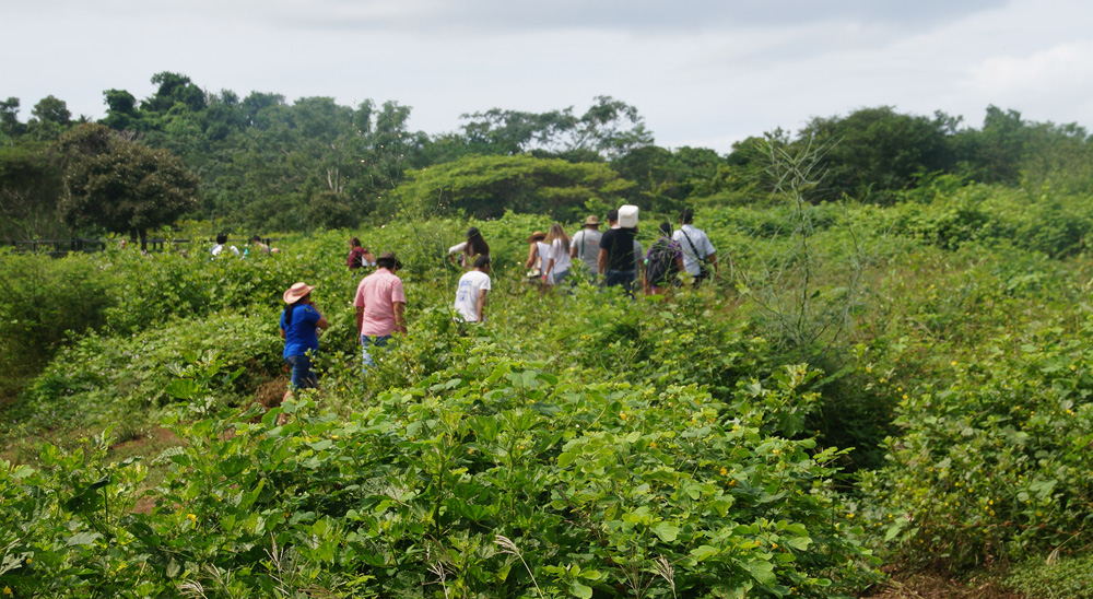 Con el apoyo de la URT, más tierras para las víctimas en Bolívar