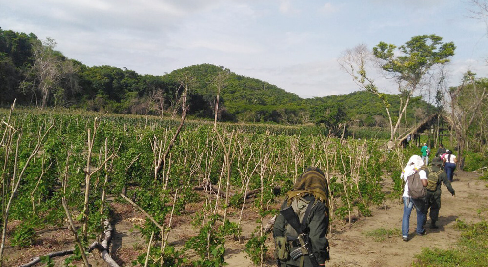 En Bolívar, familia víctima de las Farc recuperó sus tierras