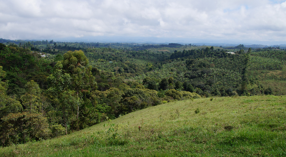 La restitución de tierras en el municipio de Cajibío, Cauca, avanza con éxito