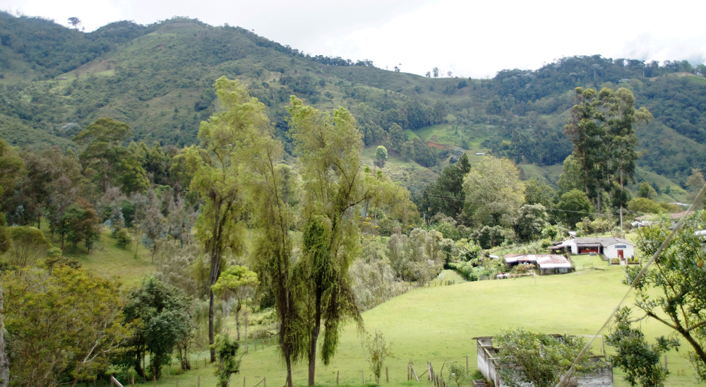 URT realiza barrido total de solicitudes en el municipio de Obando Valle del Cauca