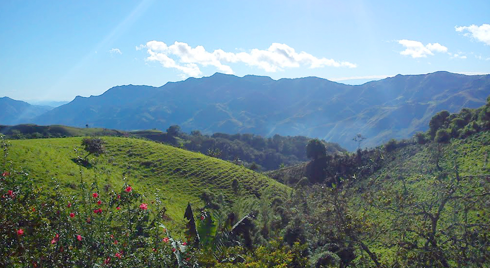 En Ataco, Tolima, la URT está trabajando en 509 casos de restitución