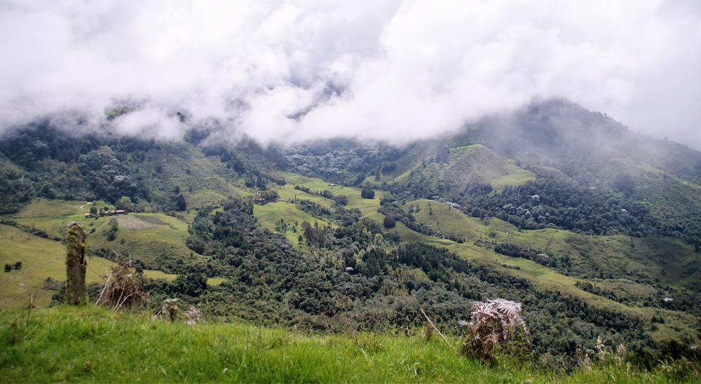 URT realiza barrido total de solicitudes en el municipio de Trujillo Valle del Cauca