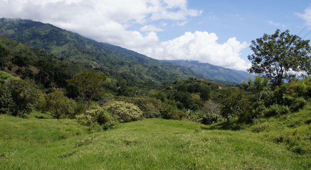 URT realizó barrido de solicitudes y cierre de 4 microzonas, en Tolima