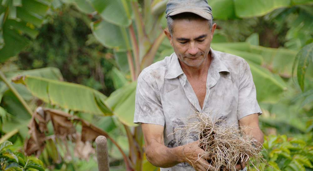 URT realiza barrido total de solicitudes en zonas de cuatro corregimientos del municipio de Ginebra Valle del Cauca