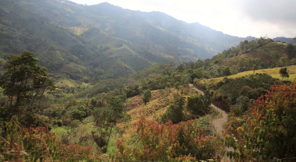 La restitución llegó al hogar de familia campesina en Guaduas, Cundinamarca