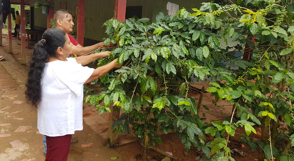 La URT continúa protegiendo los derechos de las víctimas del conflicto armado, en Cesar 