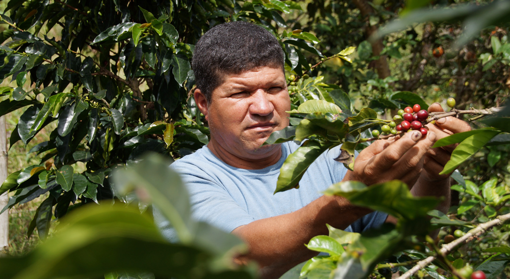 URT realiza barrido total de solicitudes en zonas de dos corregimientos del Municipio de Tuluá Valle del Cauca