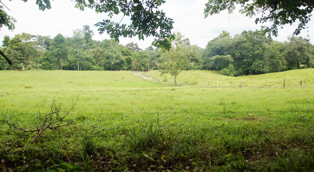 Para conmemorar el Día de las Víctimas, campesinos de Magdalena Medio cocinarán un sancocho, con sabor a restitución.Para conmemorar el Día de las Víctimas, campesinos de Magdalena Medio cocinarán un sancocho, con sabor a restitución.