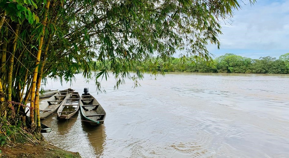 Familia despojada por paramilitares recupera más de 2.700 hectáreas en Mapiripán (Meta)