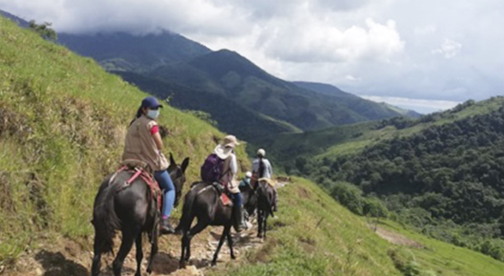 Unidad de Restitución de Tierras reclama 4 mil hectáreas a favor del resguardo indígena Ondas del Cafre en Mesetas, Meta 