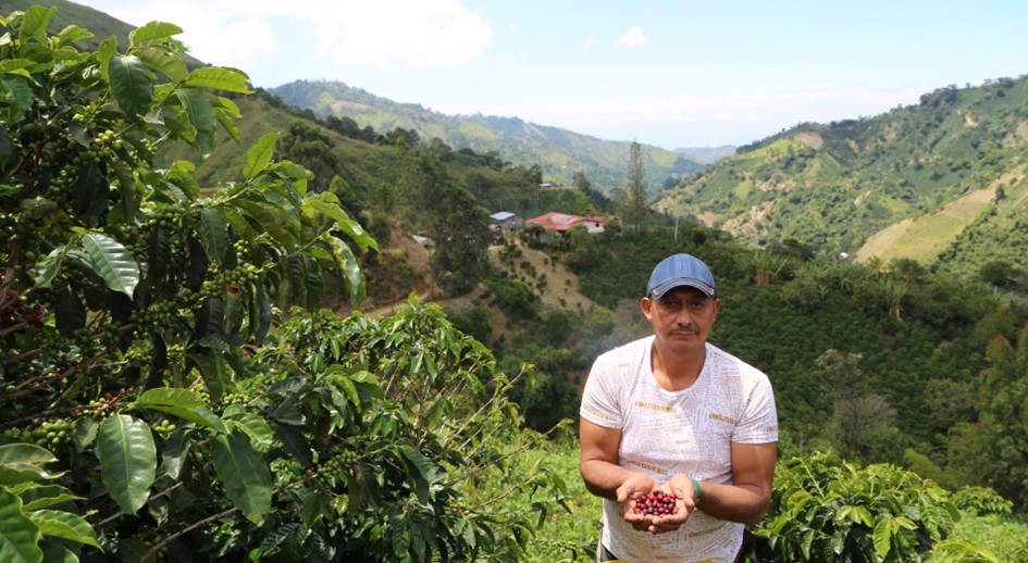 Un Triunfo del Café y la Resiliencia