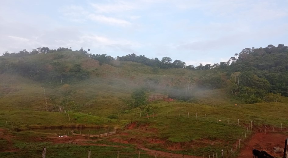 Vereda El Rayo, en Tarazá (Antioquia), será intervenida por la Unidad de Restitución de Tierras