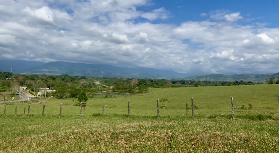 La restitución: un nuevo comienzo para pareja de adultos mayores dedicados a la piscicultura en Lejanías (Meta) 