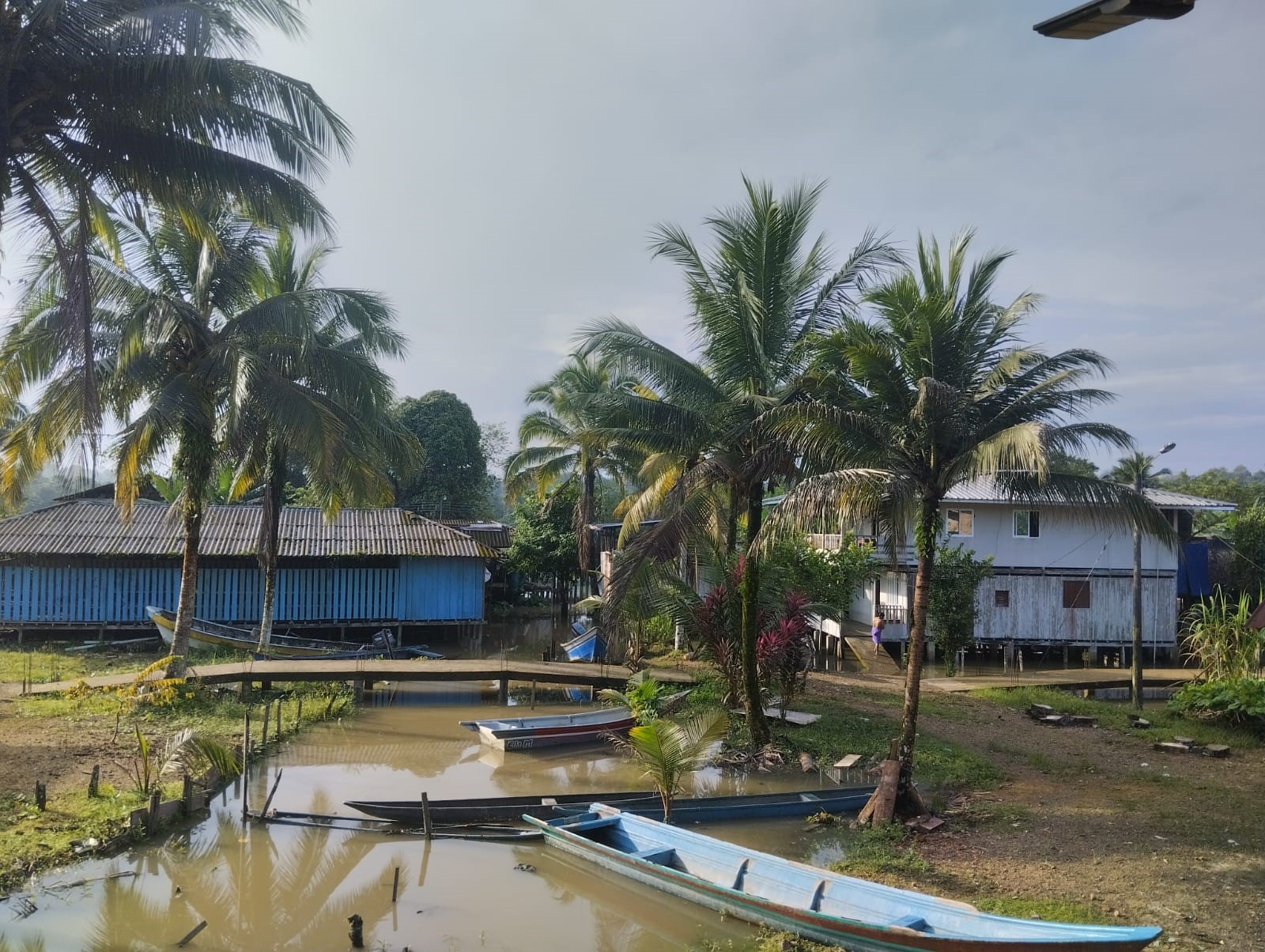 En el límite de ambos departamentos, a lo largo del Bajo San Juan, se extiende el territorio en el que se ubica esta comunidad de la etnia Wounaan. Múltiples violencias han afectado a esta población, que ahora empieza el recorrido del restablecimiento de sus derechos.