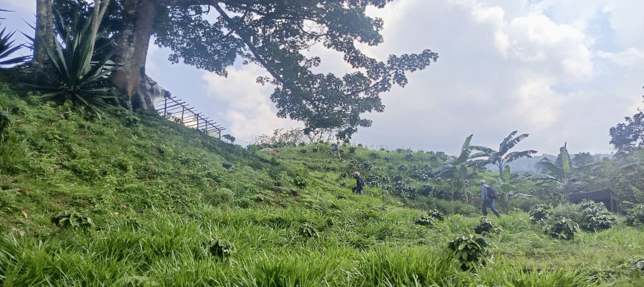 Con ocasión de la conmoración del Día Nacional de la Memoria Histórica y Solidaridad con las Víctimas del Conflicto Armado, la URT revela además que durante el Gobierno de Cambio ha radicado 15 demandas para reclamar 1,8 millones de hectáreas de territorio étnico en estos dos departamentos. 