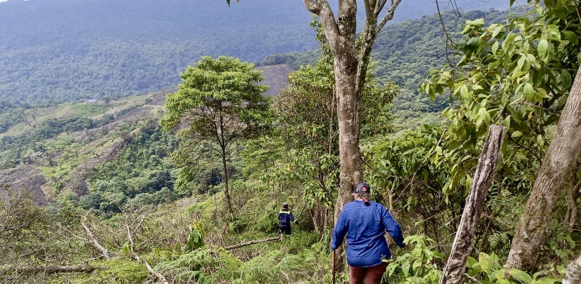Un juzgado especializado decidió que se les restituya mediante compensación, a lo que se suma la adopción de medidas de carácter reparador para esta familia víctima del conflicto armado. 