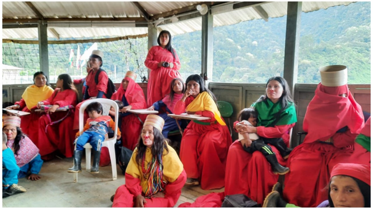 La justicia especializada ampara los derechos del Resguardo Indígena Jaidukamá, en Ituango. Es el segundo fallo que beneficia a pueblos étnicos en el departamento.