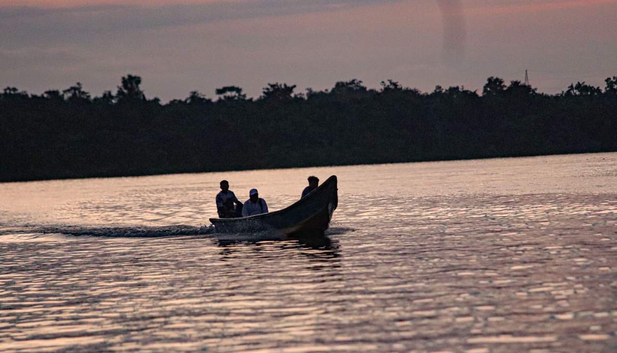 La sentencia también ordena el restablecimiento de otros derechos territoriales a esta colectividad ubicada en Timbiquí; compuesta por 956 personas que integran 229 familias. 
