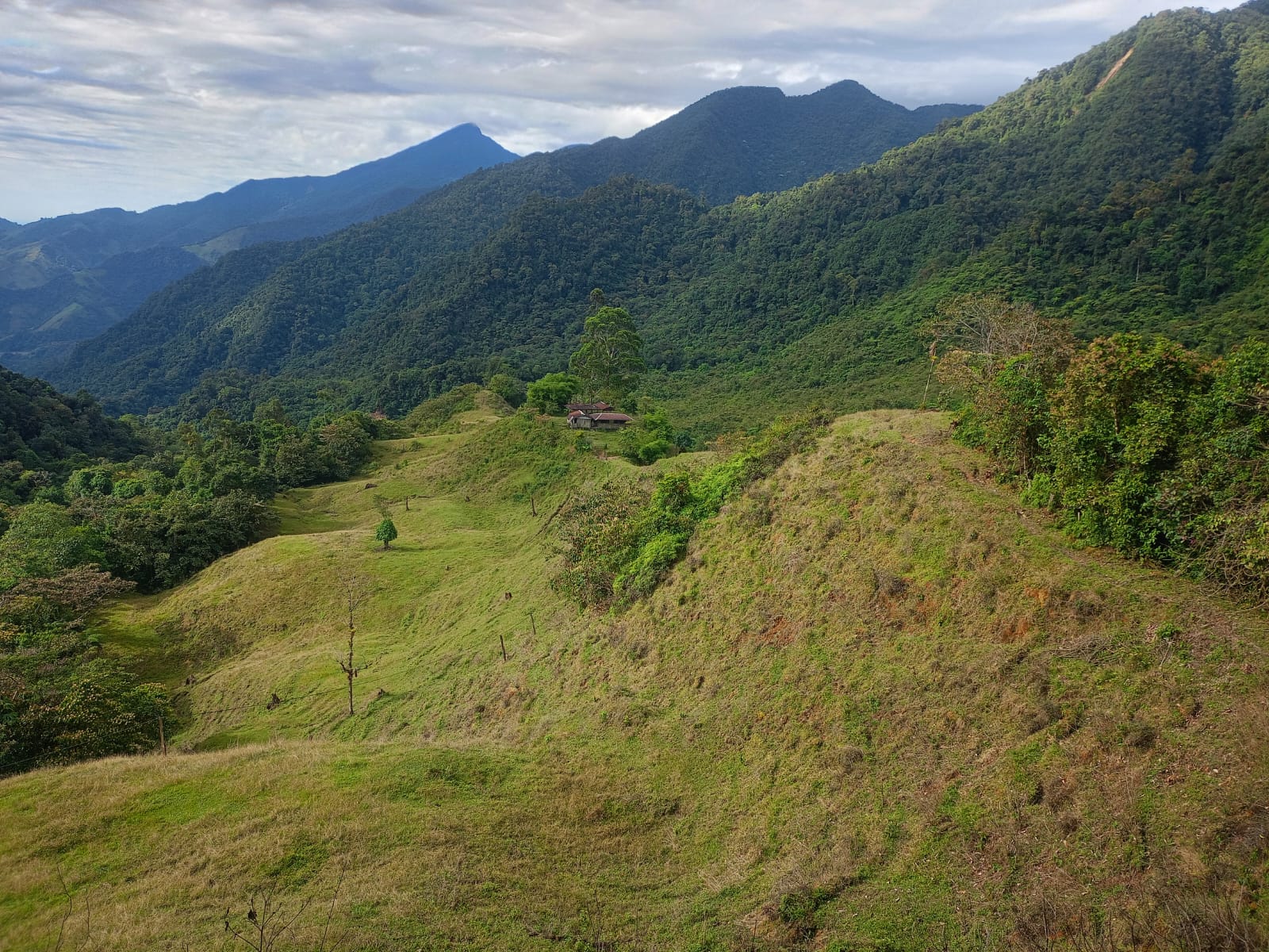 Como resultado de la representación judicial de la Unidad de Restitución de Tierras (URT), la justicia ordenó la restitución a esta familia, que fue desterrada de su hogar ubicado en la vereda Loma del Pañuelo.