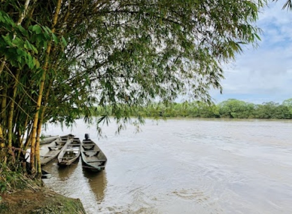 Un tribunal la reconoció como víctima del conflicto y ordenó la restitución de tres predios bajo dicha modalidad. La decisión resalta la actuación de la URT y adopta medidas de protección para algunos opositores.